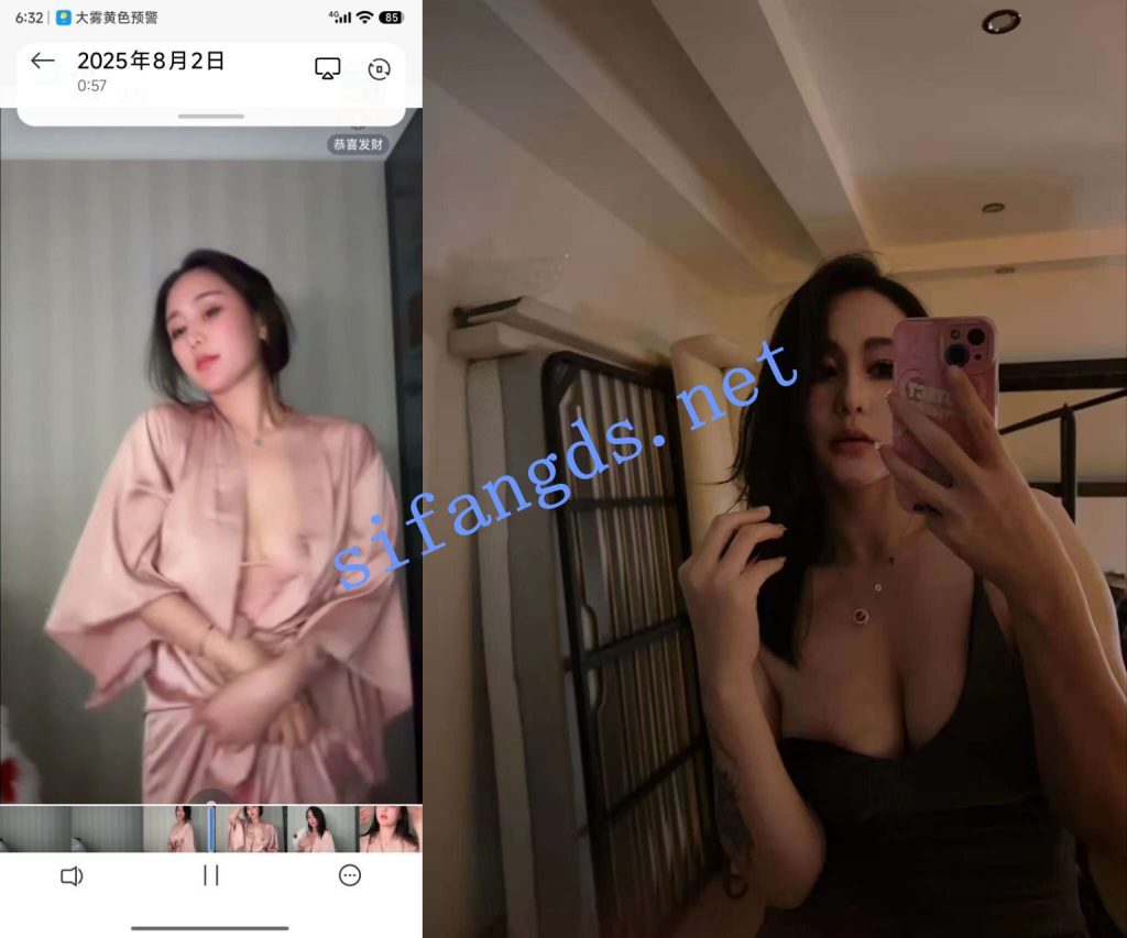 【抖音】L.露 1000场会议合集 加高价定制【36V】【4.17G】