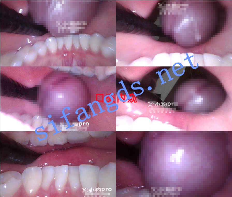 【重磅核弹】颜值萝莉【小狗PRO】花式硬核调教10月最新【20V】【6.03G】