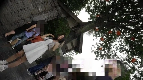 【永久专享】（空城原创）白裙美女逛街，条纹小N前面透明漏黑森林【1V】【315M】