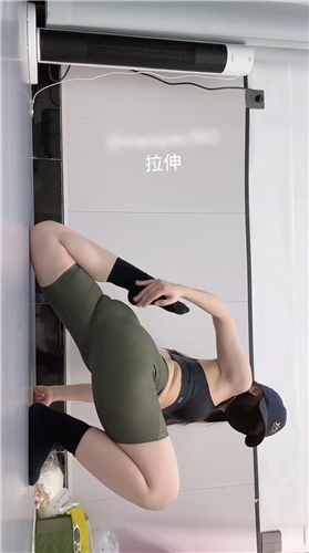 顶级大学舞蹈生【小乔（以安）】12月VIP最新大尺度裸舞【9V】【907M】