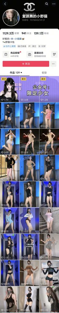 抖音 爱跳舞的小野猫-2 140万粉 大尺度节奏骚舞 最全【55V】【864M】