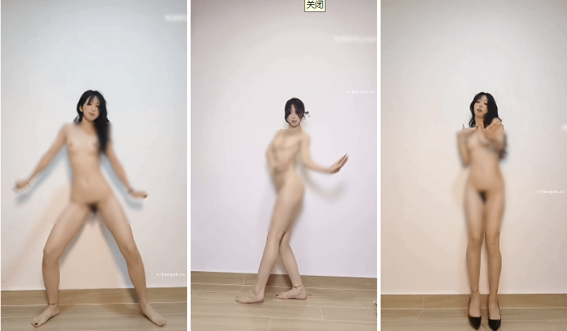 推特原野芽美团队-月月真金定制裸舞 最新流出【5V】【220M】