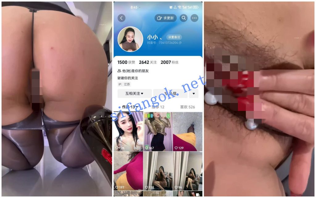 【快手福利】极品丝袜熟女【雅茹 雪儿 小小】道具自X丝足【8V】【3.05G】