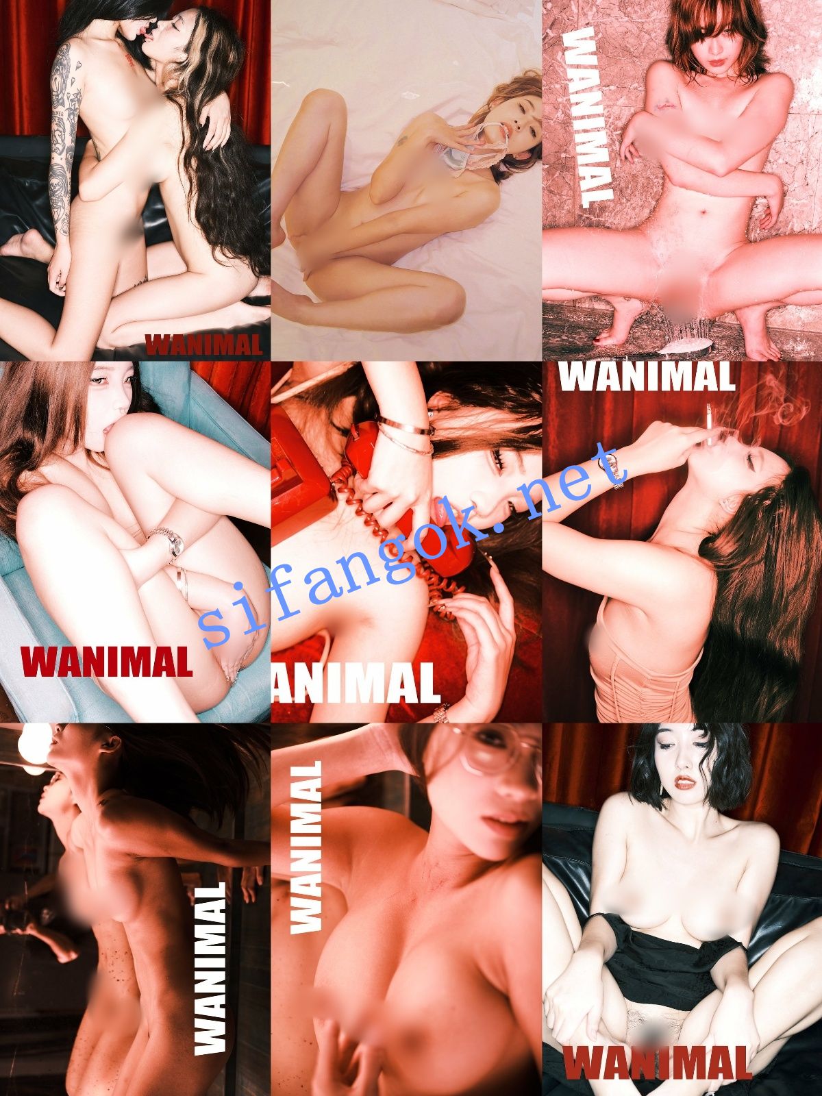 【重磅】顶级摄影网红【王动】2025最新作品整理 太顶了【1014P85V】【3.29G】