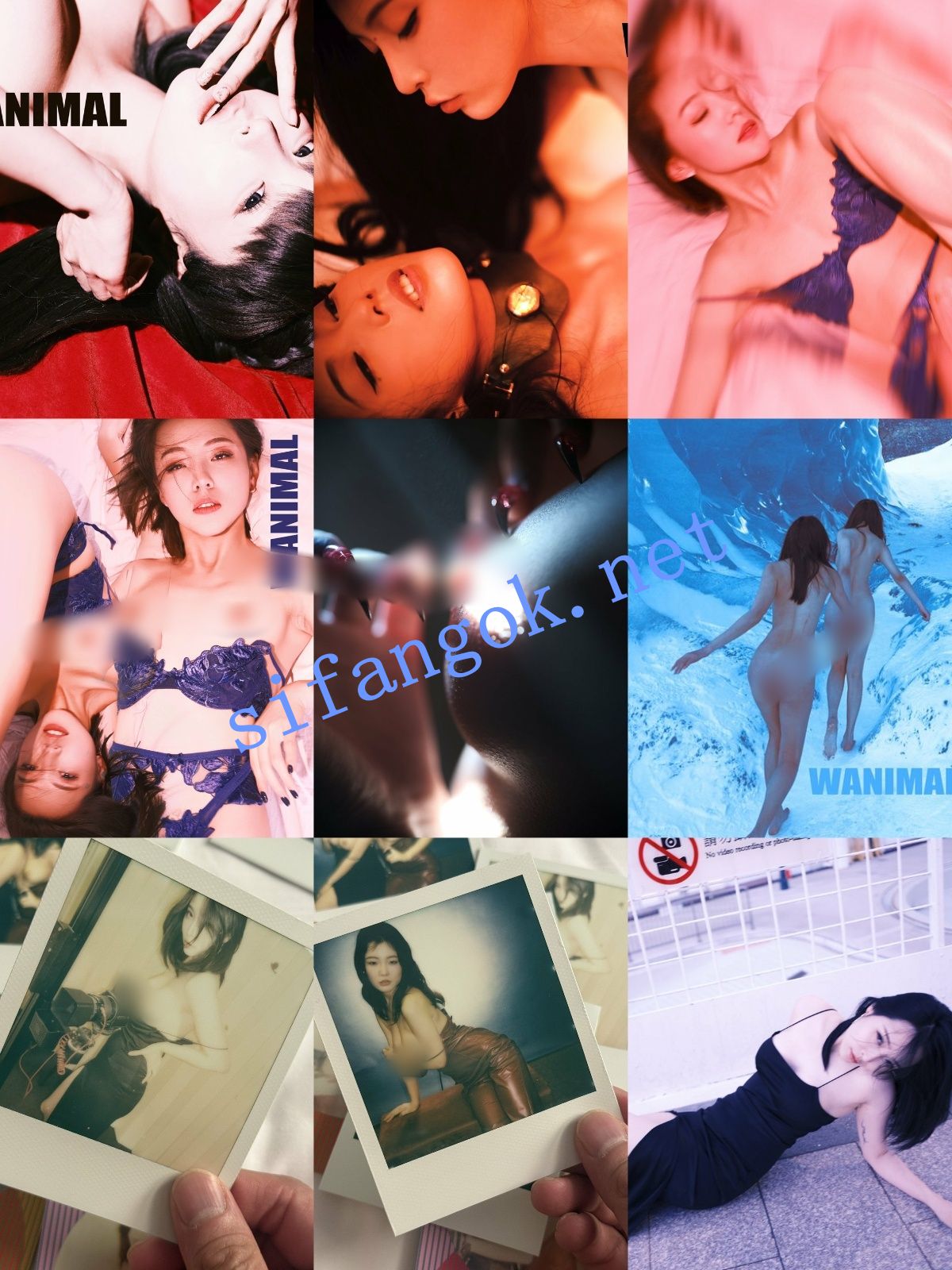 【重磅】顶级摄影网红【王动】2025最新作品整理 太顶了【1014P85V】【3.29G】